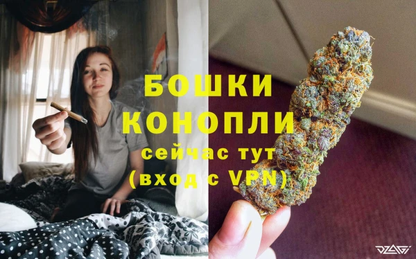 крисы Богородицк