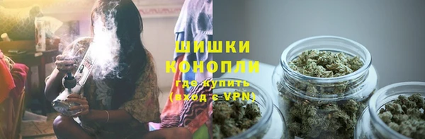хмурый Бородино