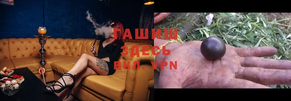 хмурый Бородино