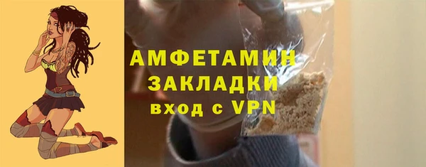 хмурый Бородино