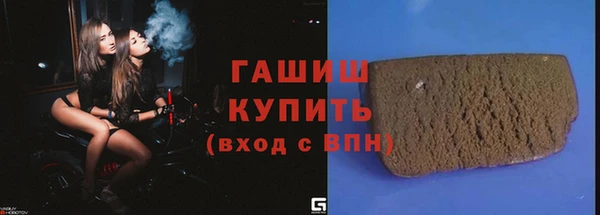 хмурый Бородино