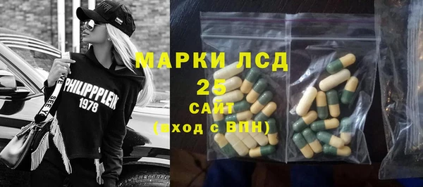 крисы Богородицк