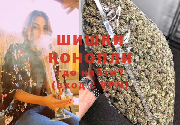крисы Богородицк